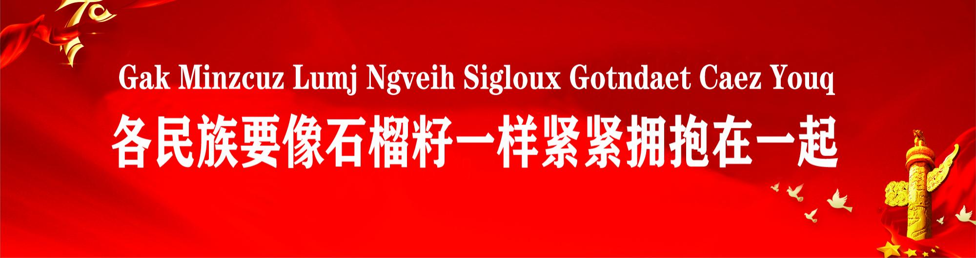 各民族要像石榴籽一样紧紧拥抱在一起